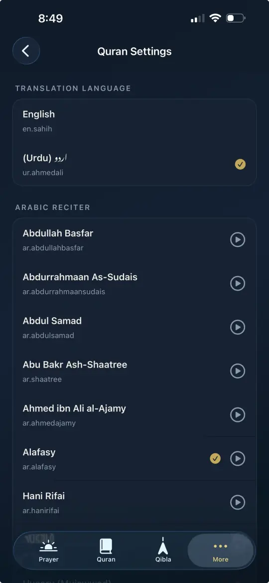 Audio Settings
